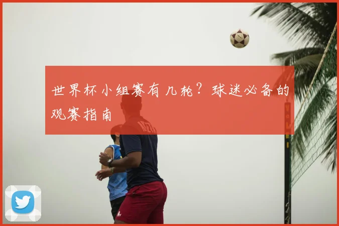 世界杯小组赛有几轮?球迷必备的观赛指南