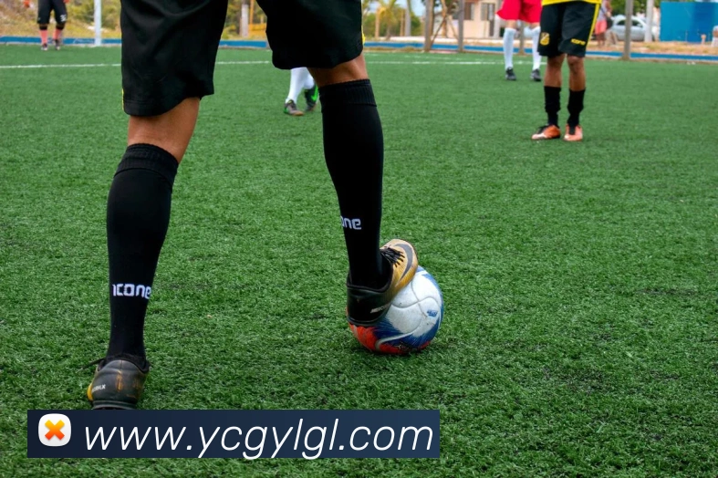 多媒体互动体验